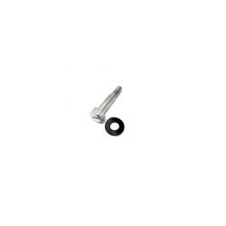 Lambretta brass pulley wheel securing screw image #1